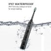 Sarmocare S100 Sonic Electric Toothbrush, 8 Heads, Waterproof, Purple - 8