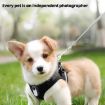 Pet Recorder Collar Camera for Cats & Dogs, 128G Memory, Black - 3