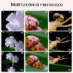 Pink Children Science Experiment Set Microscope Toys - Educational Kit - 5