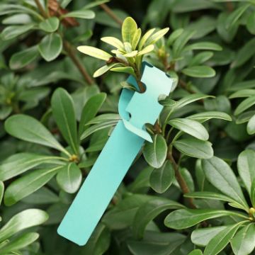 100 PCS Green Hanging Tree Labels for Gardening Plant Saplings - 1