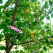 100 PCS Green Hanging Tree Labels for Gardening Plant Saplings - 4