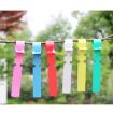 100 PCS Green Hanging Tree Labels for Gardening Plant Saplings - 5
