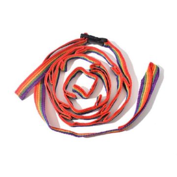 Colorful Tent Lanyard Rope Cord for Camping, 190cm Length - 1