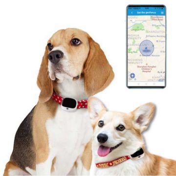 Waterproof RF-V43 GPS Pet Collar Tracker - Asia/Europe/Africa/Australia - 1